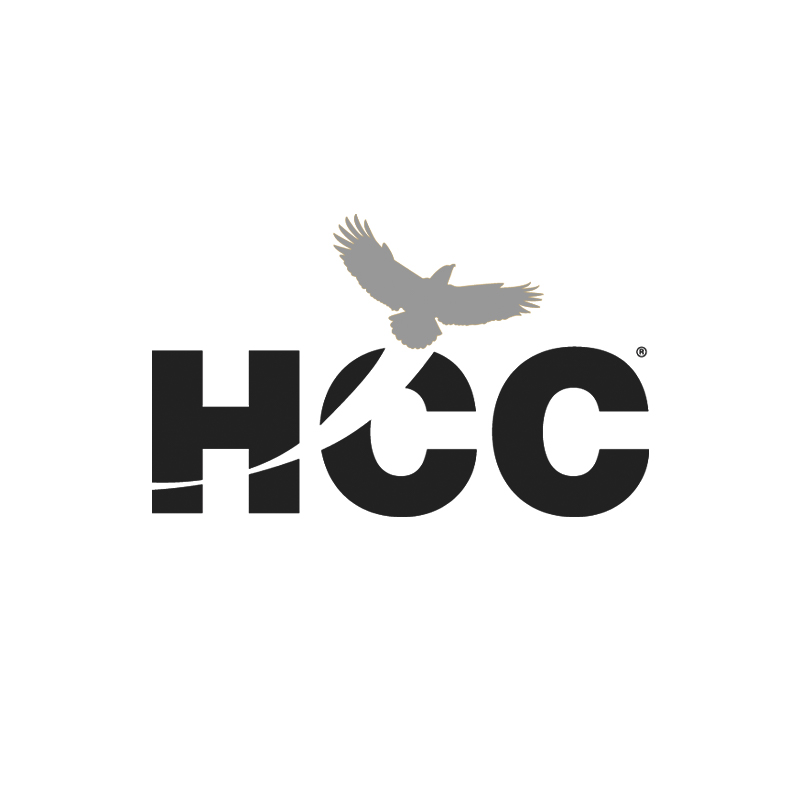 HCC 1